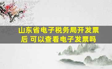 山东省电子税务局开发票后 可以查看电子发票吗